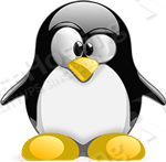 Basic Linux Commands