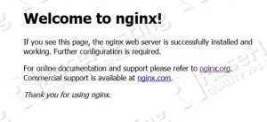 nginx-default