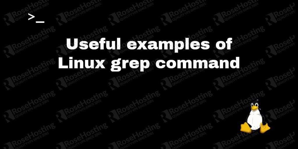 12 useful examples of Linux grep command - RoseHosting.com ...