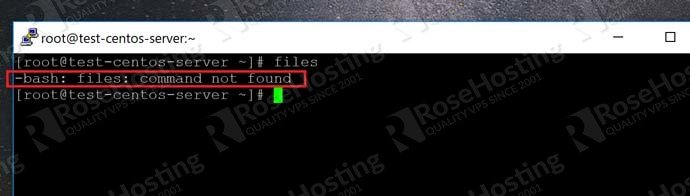 How to Create Custom Commands in Linux  RoseHosting