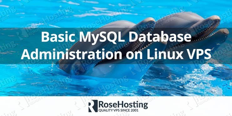Basic MySQL Database Administration on Linux VPS