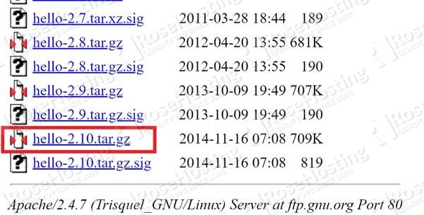 How to Install tar.gz Files in CentOS