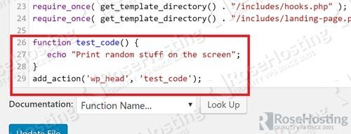 Pasting Code into functions.php in WordPress