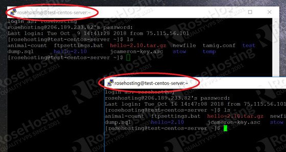 Open Two Separate SSH Shells