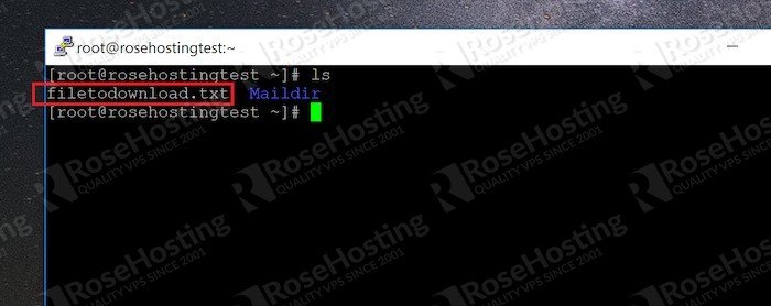 how to download files in terminal to local machine how to download files in terminal to local machine