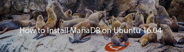 How to Install the MariaDB on Ubuntu 16.04