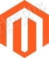 managed magento support