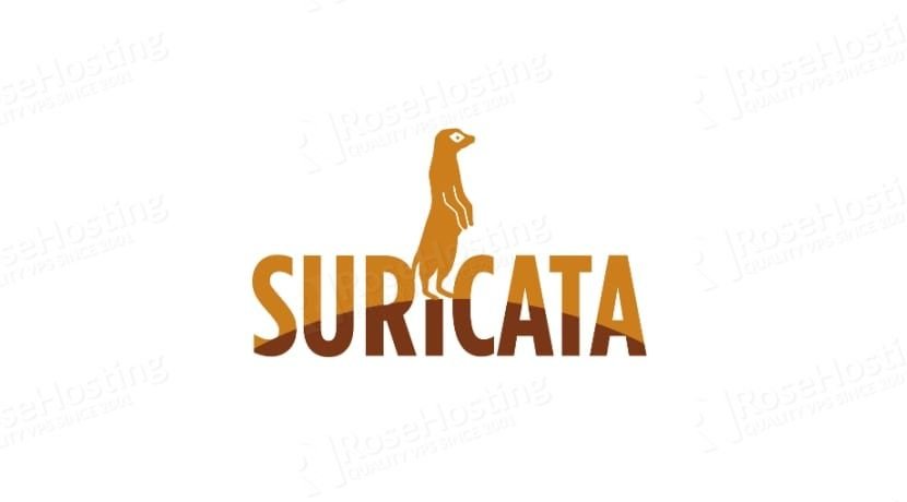 how to set up suricata on debian 11