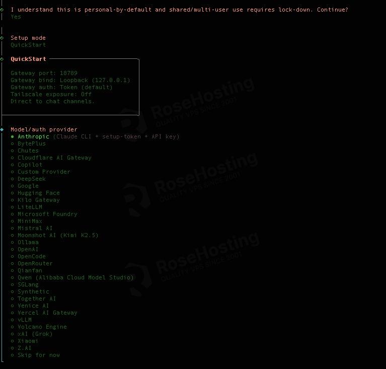 OpenClaw installation