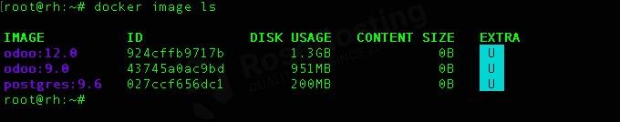 Remove Docker Images on Ubuntu