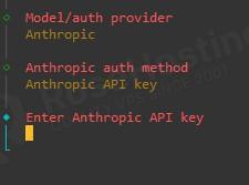 Enter Anthropic API Key in OpenClaw