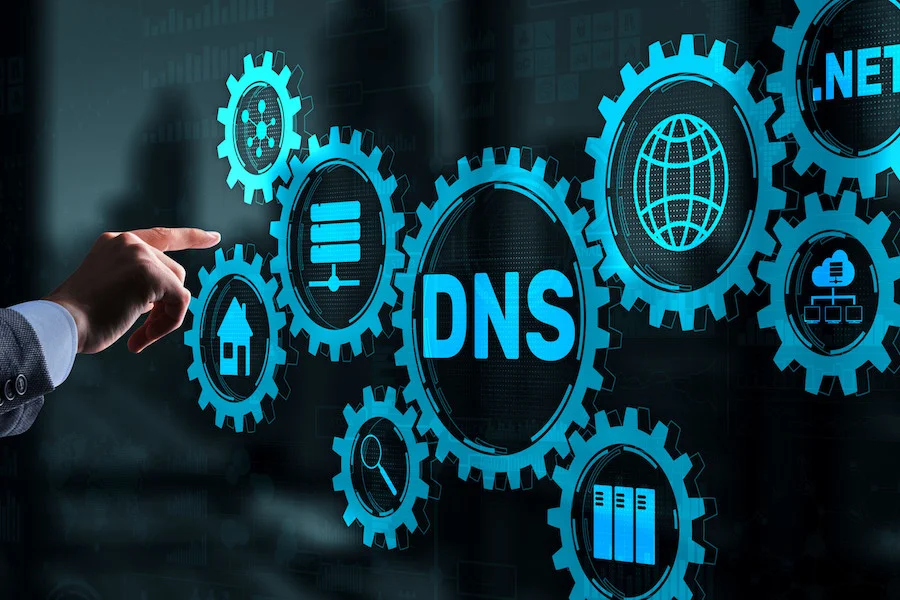 dns look-up