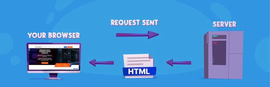 Servers receive requests and send your website files to visitors