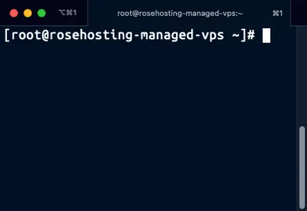 managed vps terminal