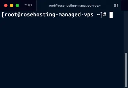 Managed Linux VPS Terminal
